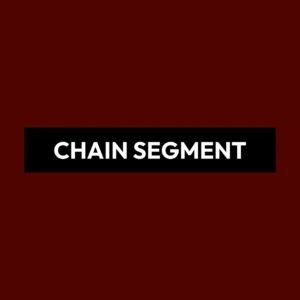 CHAIN SEGMENT