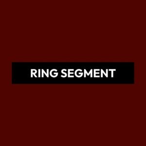 RING SEGMENT